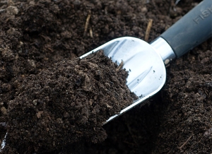 amending-garden-soil-7